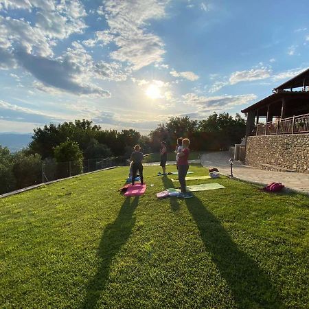 Ktyma Elia, Portaria, Katochori Villa Volos Exterior photo